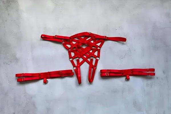 Geometrik elastik kafes panel ve gümüş O-halka donanımlı kırmızı kafes tanga harness düz yatırılmış görünüm
