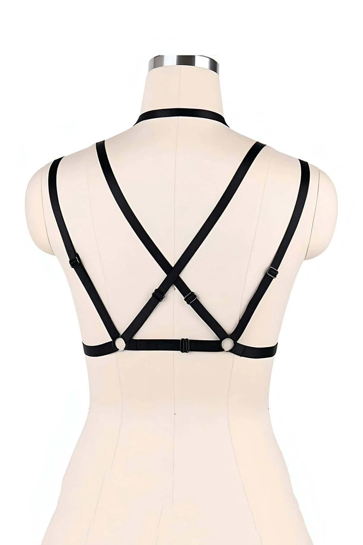 siyah kafes harness'ı 2.5 cm alaşım krom O-halka merkez askı genişliği 0.8 cm yakın çekim