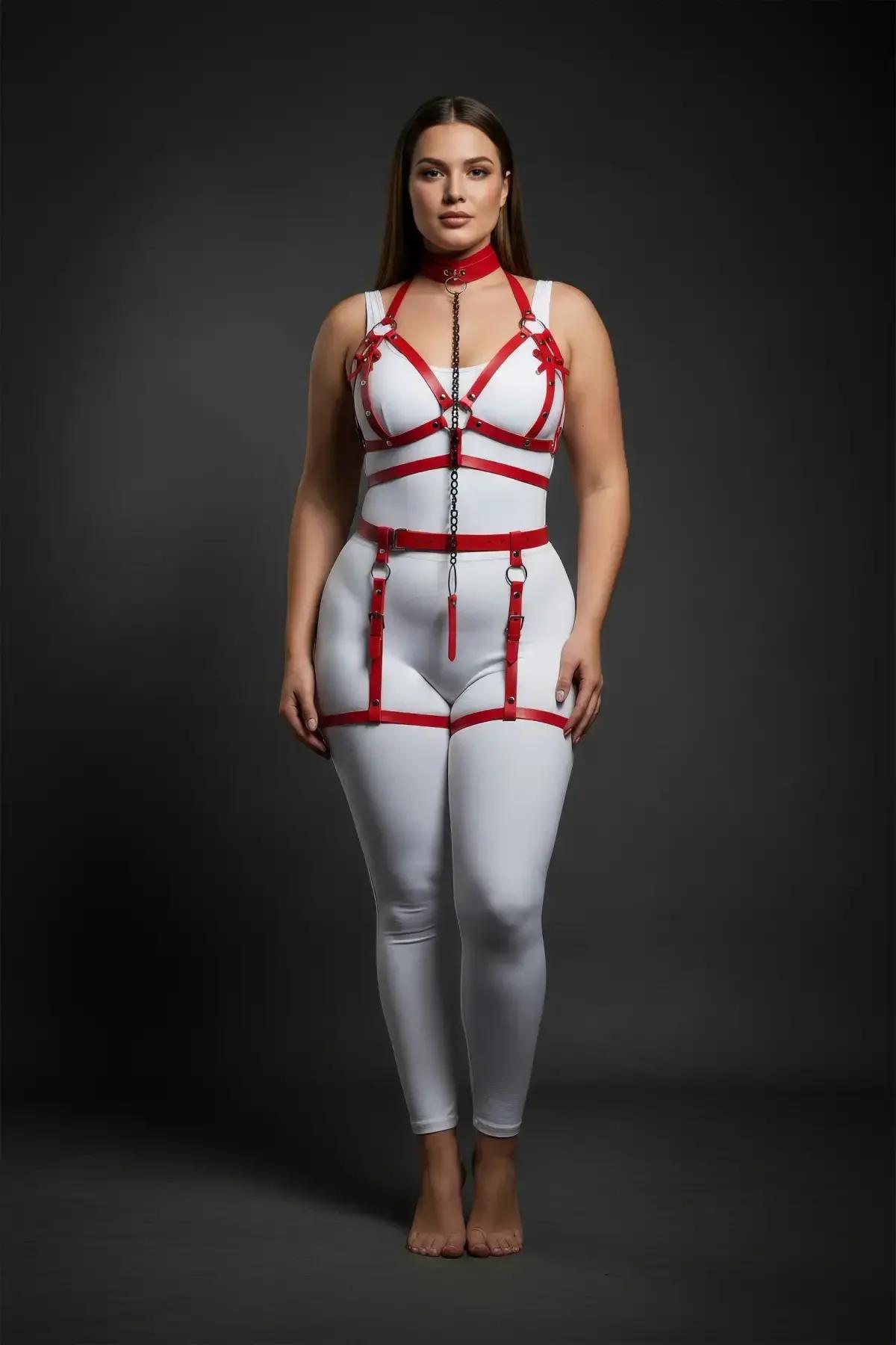 Kırmızı harness boyunluk ve çıkarılabilir dikey zincir bağlantısı yakın çekim görünüm