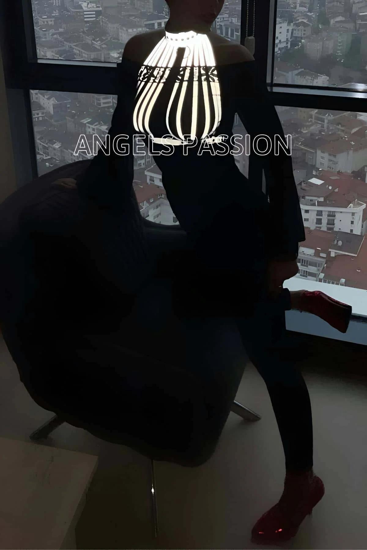 kafes halter üstte sekiz beyaz reflektör kumaş şeridini sabitleyen krom O-halka yaka yakın çekim