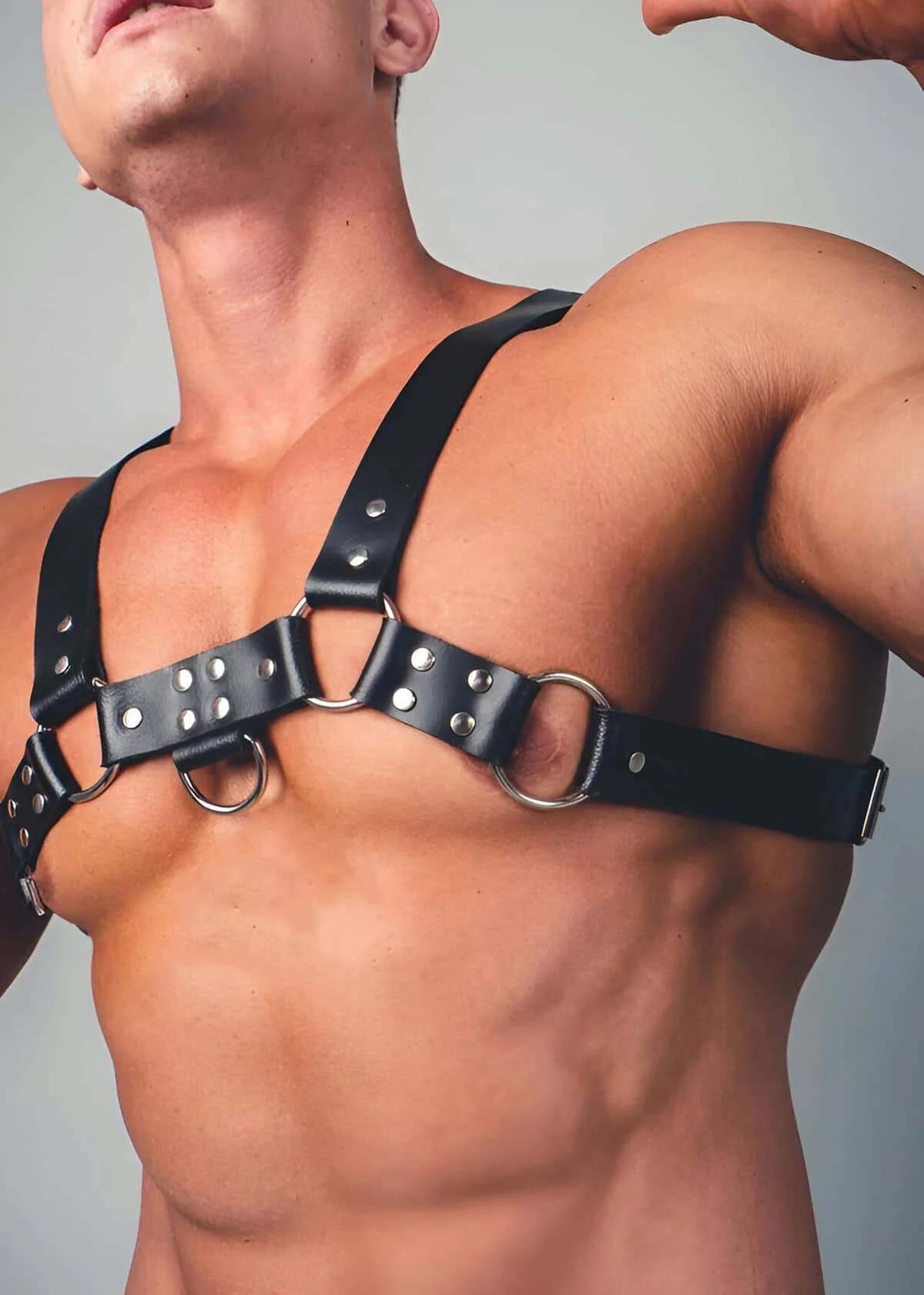 Üst ve alt bantları ve donanımı gösteren düz sergilenmiş siyah vegan deri göğüs harness