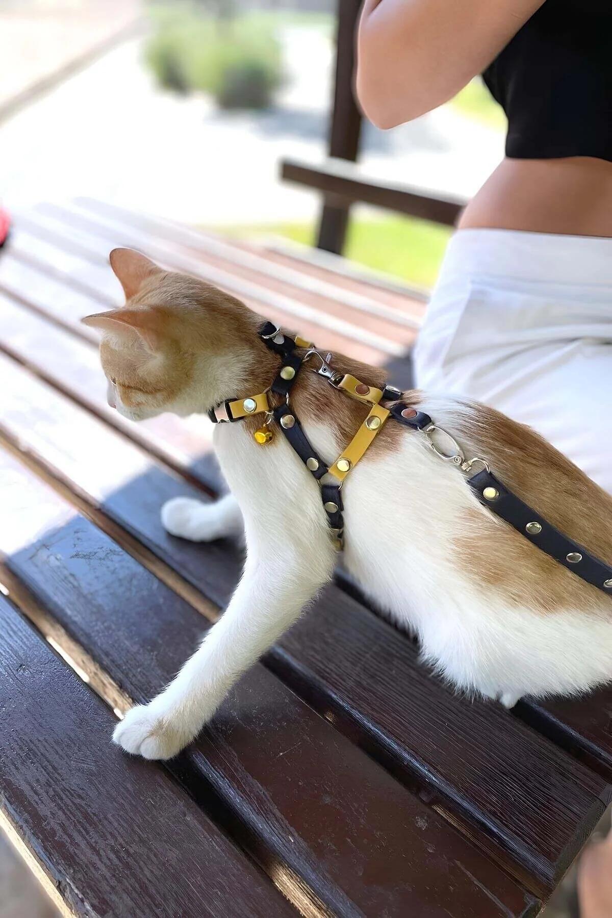 Göğüs döner tasma klips detaylı H-stil lacivert sarı suni deri kedi harness