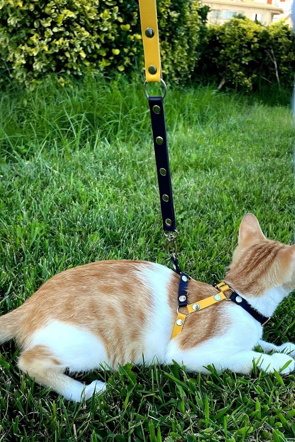 Sarı lacivert suni deri kedi harness karın bandı toka ayarlayıcısı, yandan görünüm