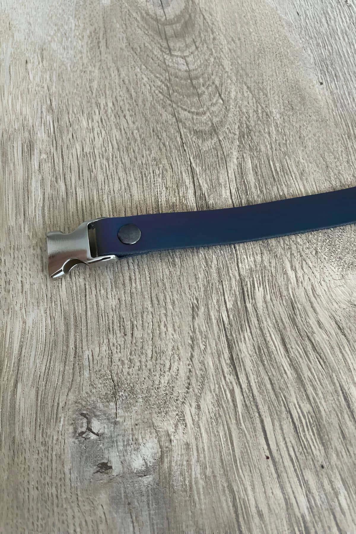 Reflektör şerit ve kare ayar kaydırıcısı detaylı mavi kedi tasması