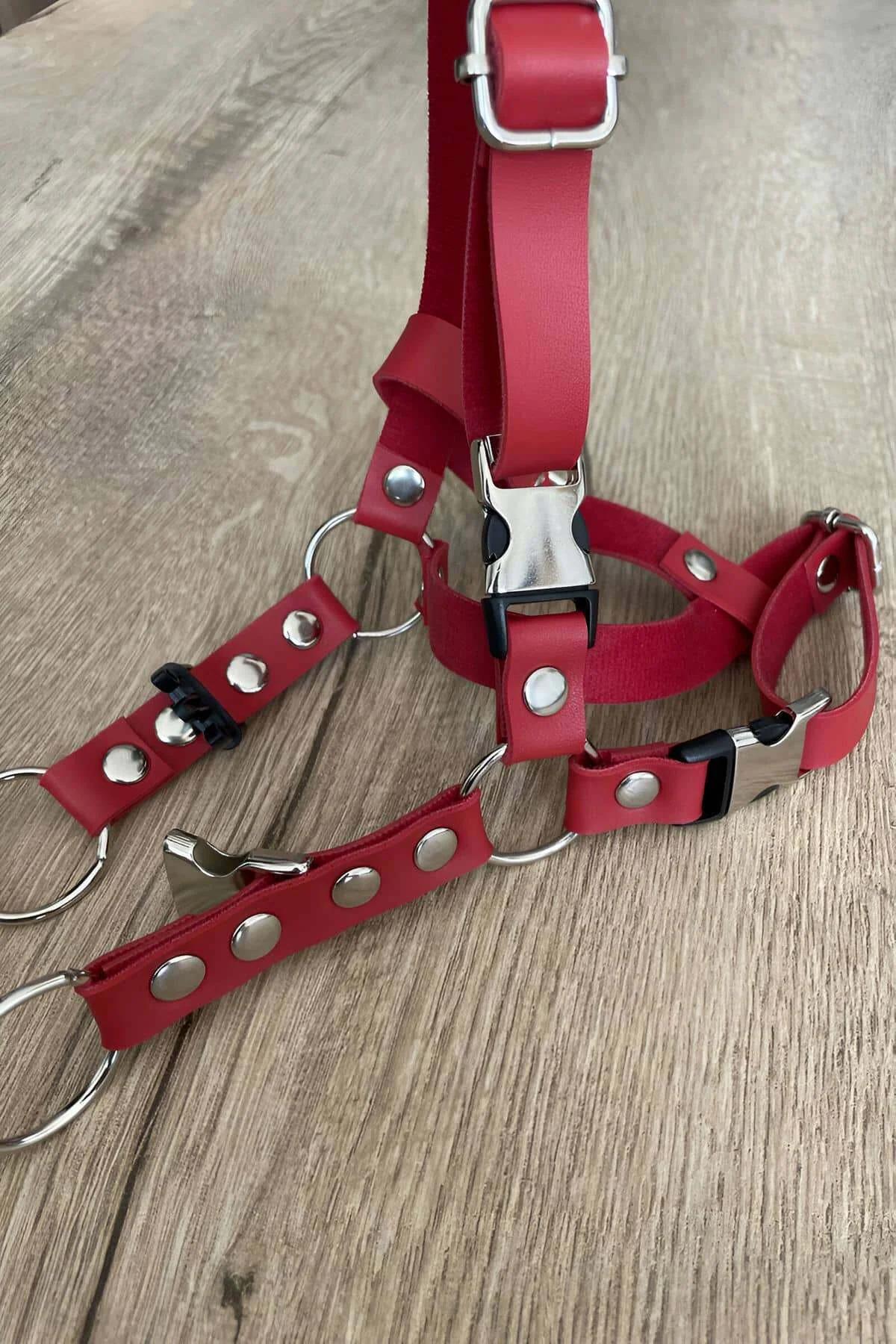 Boyun tasması ve göğüs askısı ayar noktalarını gösteren kırmızı kedi harness