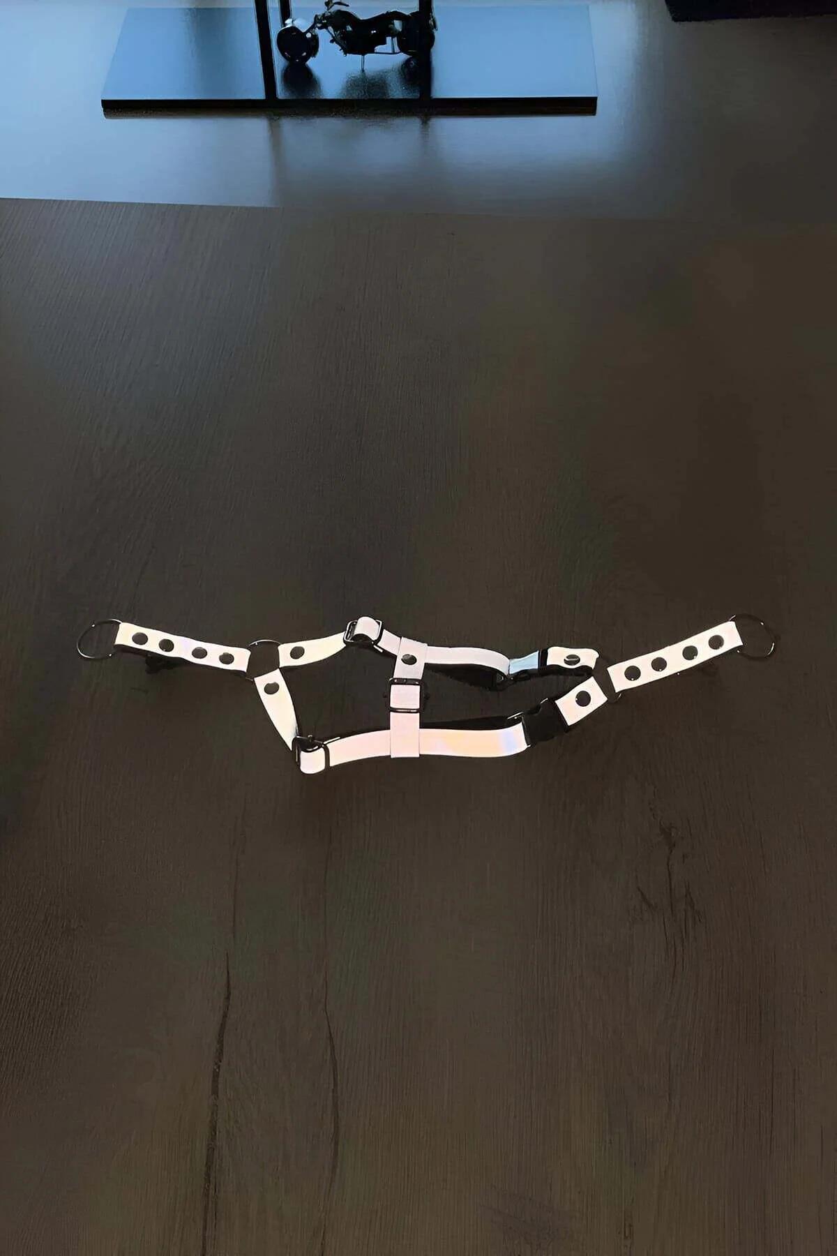 tekir kedi üzerinde siyah kedi harness göğüs toka detayı yakın çekim