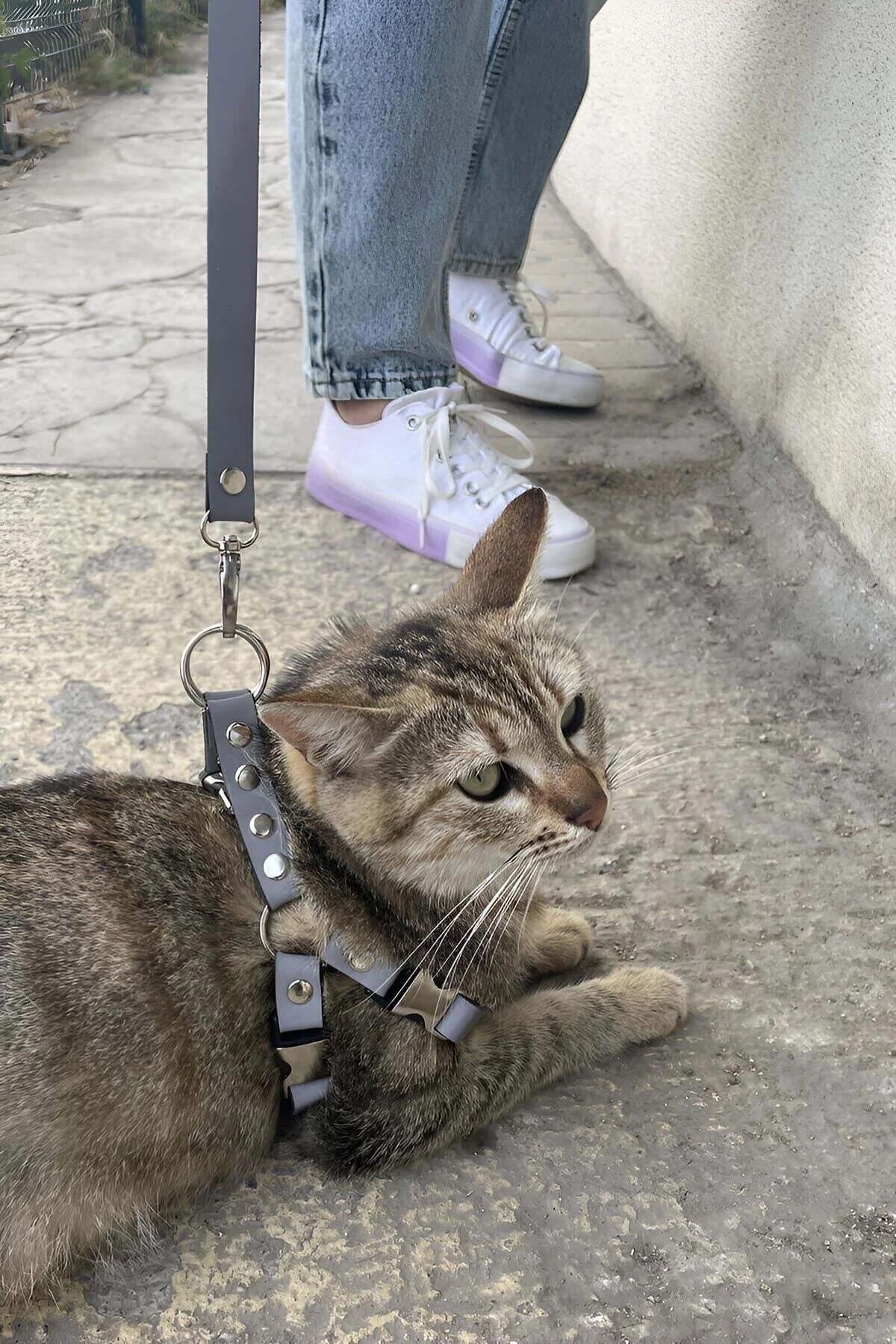 siyah reflektörlü kedi harness yan görünüm metal halka ve ayar tokası