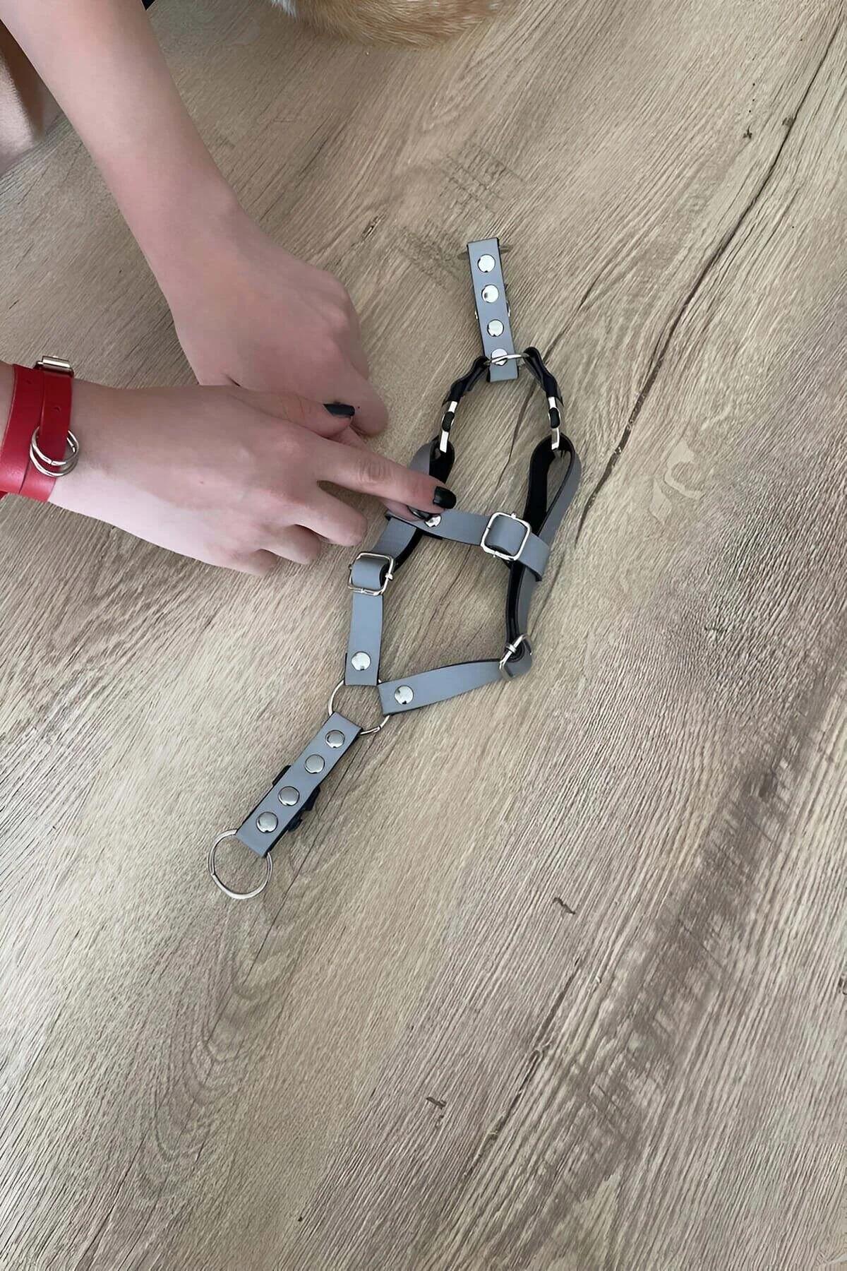 siyah kedi harness seti harness ve tasma birlikte ürün detay görünümü