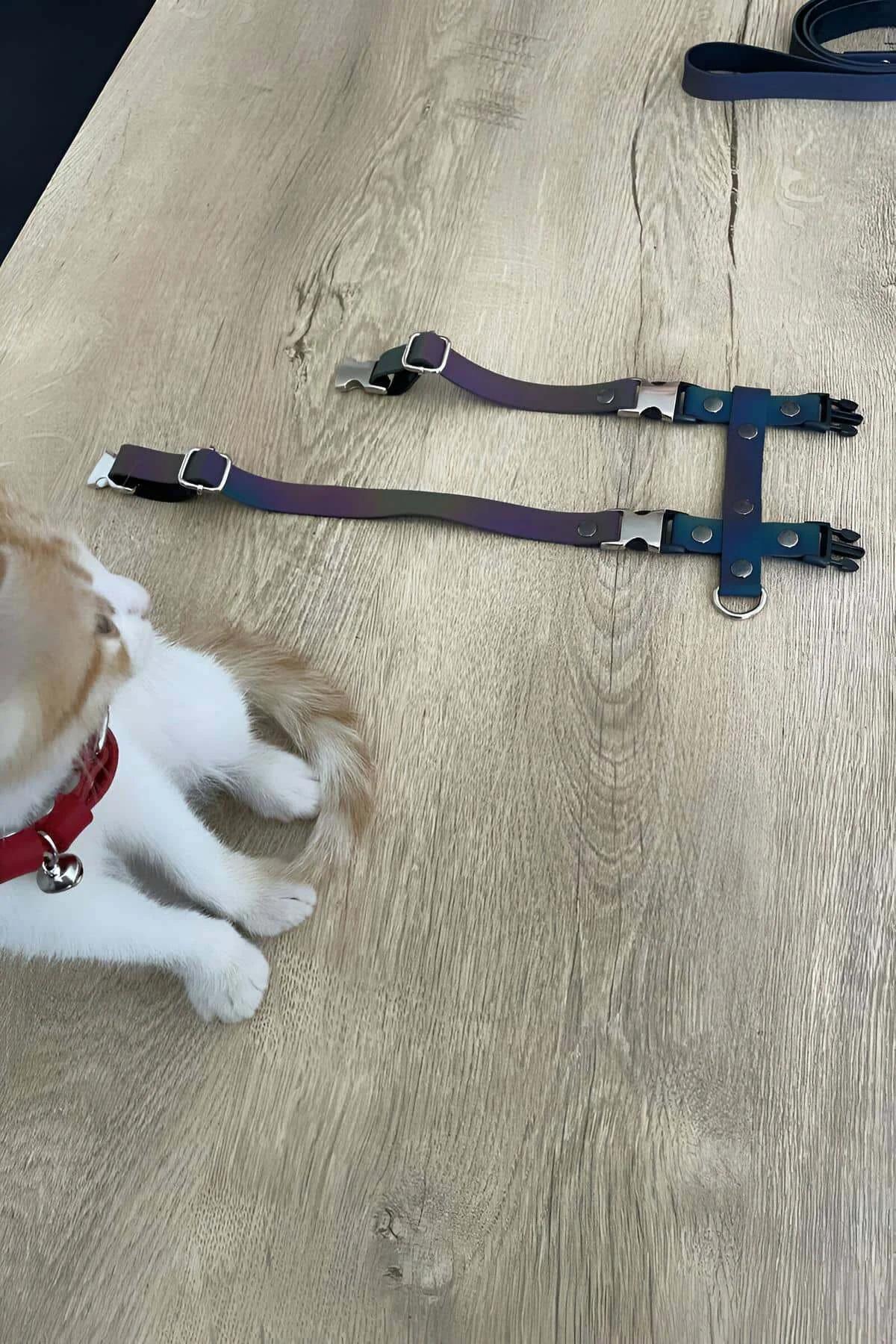 Gümüş çinko alaşım ayarlanabilir kaydırıcı toka gösteren gökkuşağı reflektör harness göğüs askısı detayı