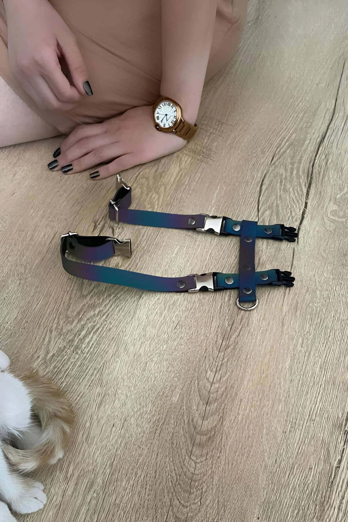 Tam askı konfigürasyonu ve D-halka bağlantı noktalarını gösteren düz yatan gökkuşağı vücut harness
