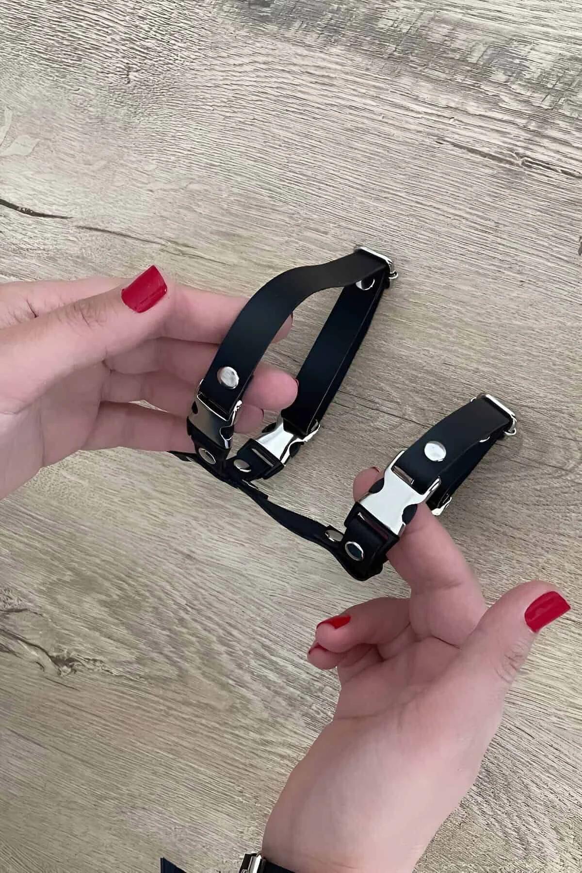 Siyah PU deri kedi harness askısında gümüş hızlı açılan toka kilidinin yakın çekimi