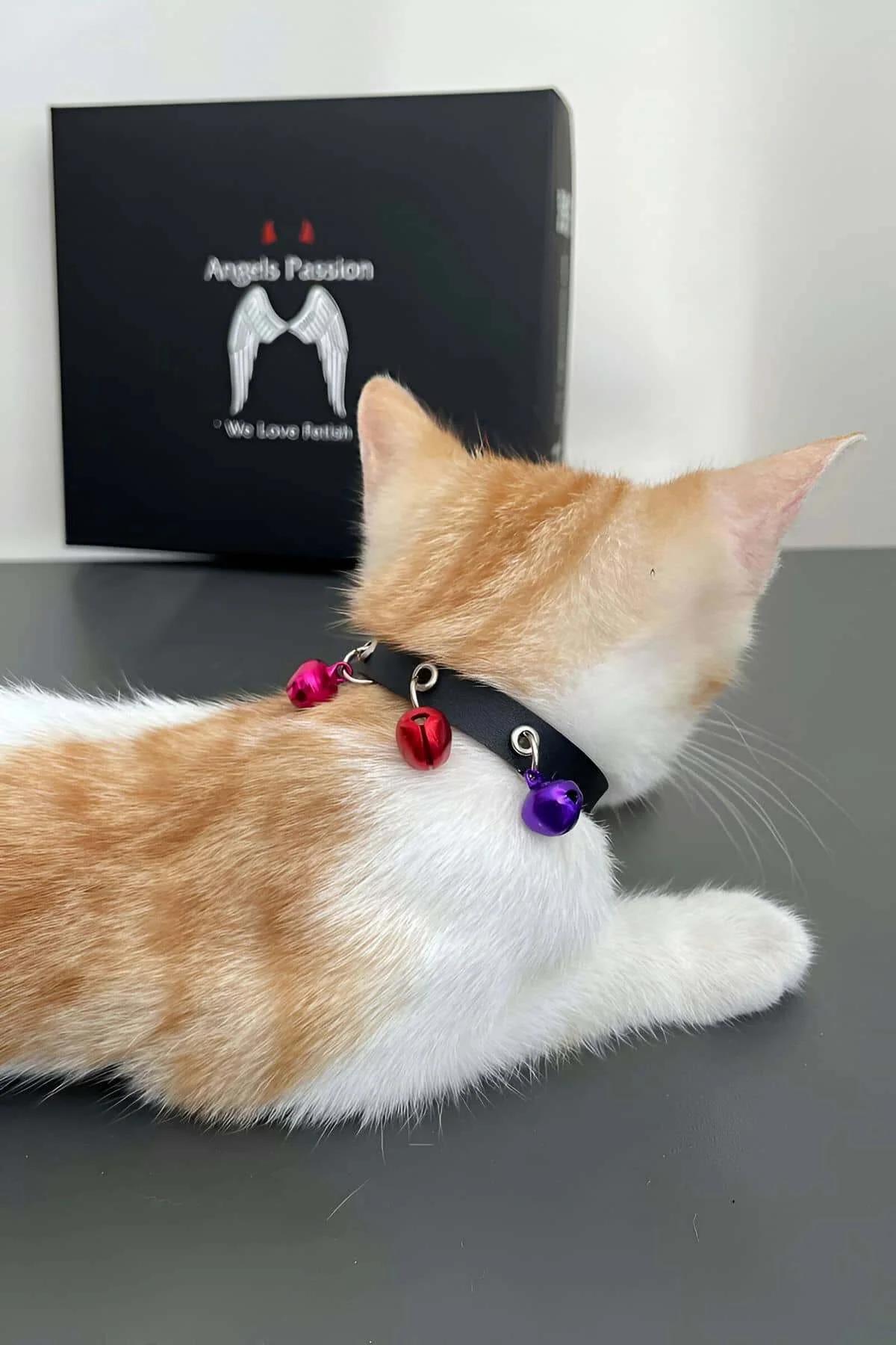 pembe kırmızı mor zilli siyah kedi boyunluğu gümüş toka detayı