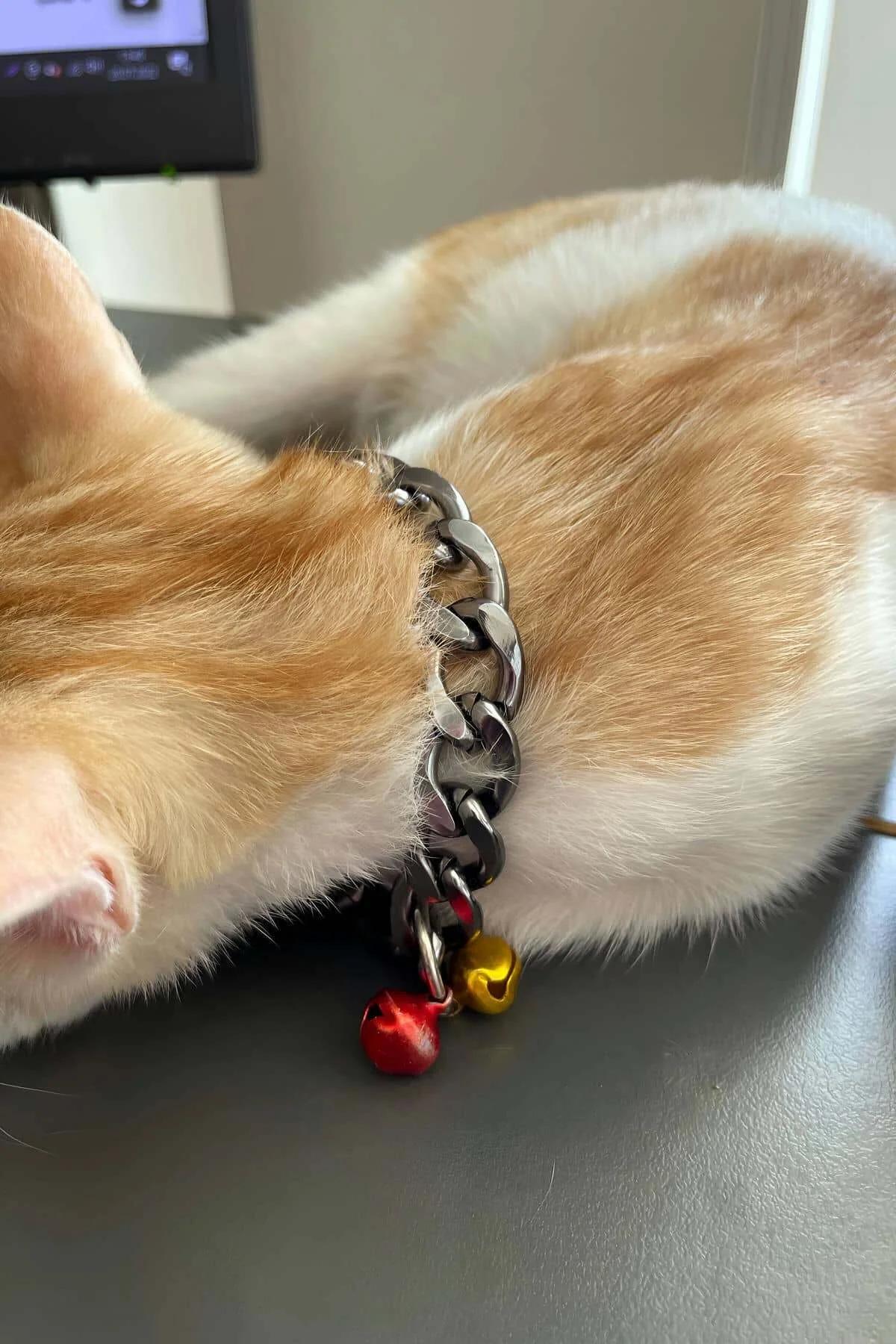 kedi boyunluğunda kırmızı ve sarı zil çanlı gümüş kaplama panzer zincir halkalar yakın çekim