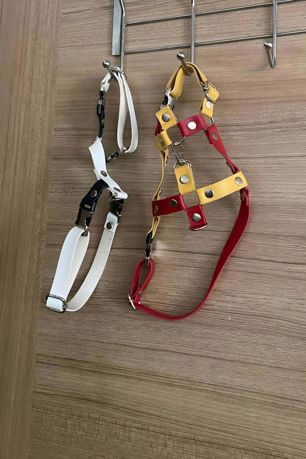 Gümüş perçin detaylı kırmızı sarı iki renkli H-stil kedi harness göğüs paneli, yakın çekim