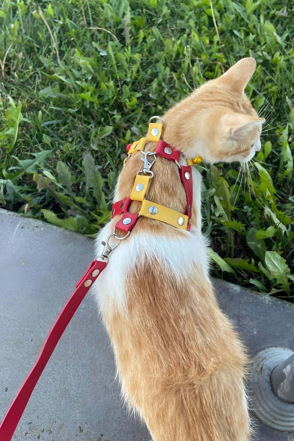 Kırmızı suni deri kedi harness askısında ayarlanabilir kaydırmalı tokalar, yandan görünüm