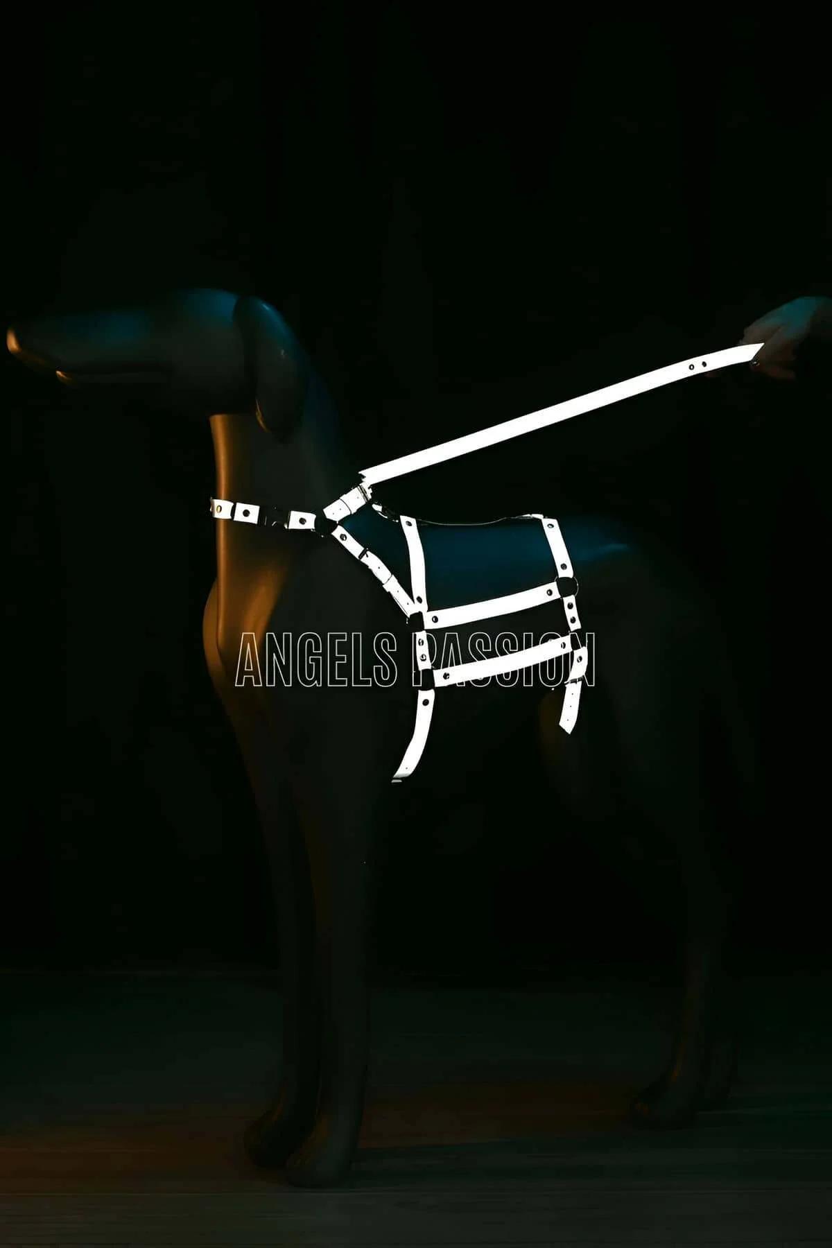 Karanlık arka planda parlayan kafes göğüs paneli ve gümüş perçin donanımlı beyaz reflektör vücut harness