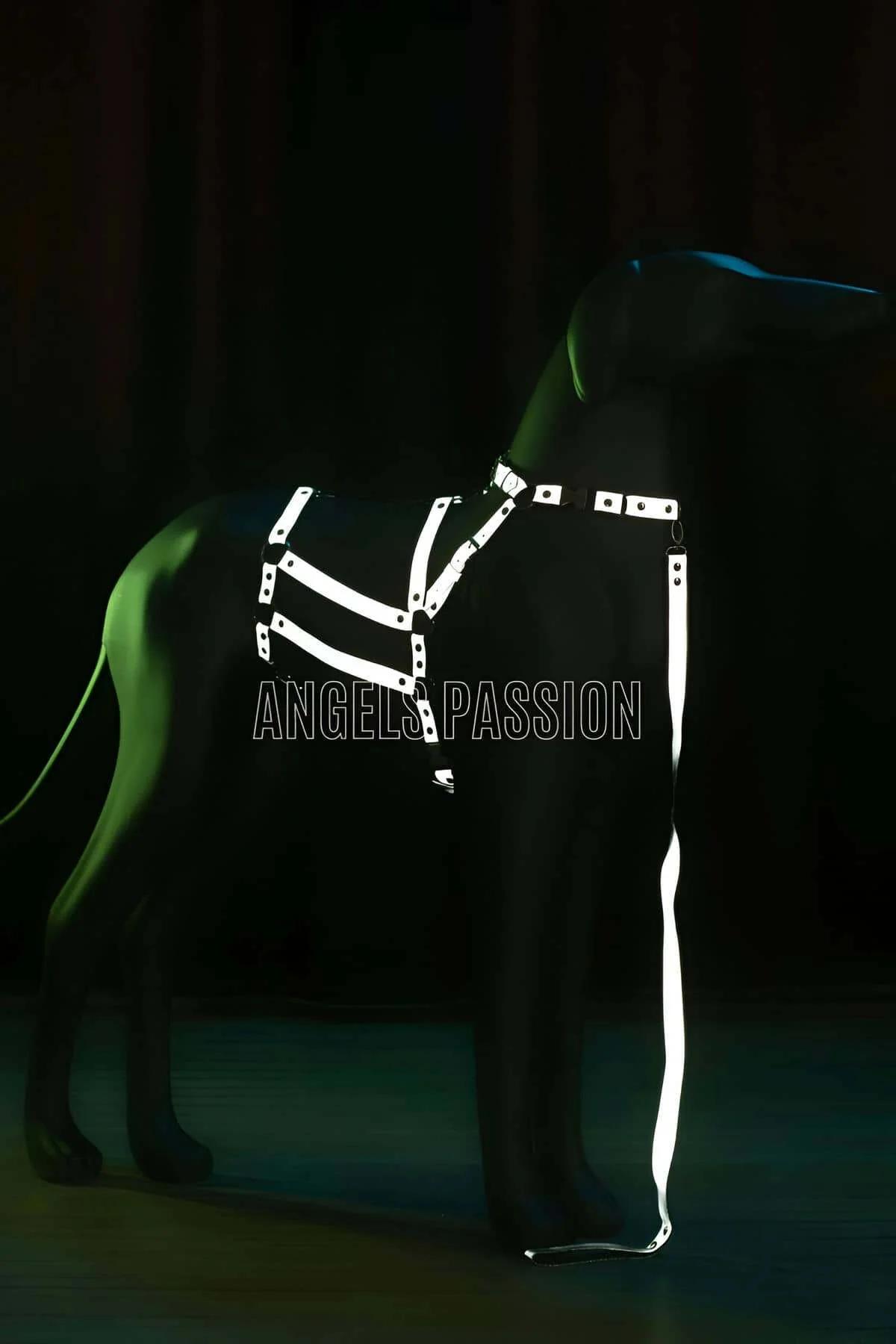Beyaz reflektör harness askılarında gümüş perçin donanımı ve zincir vurgusunun yakın çekimi
