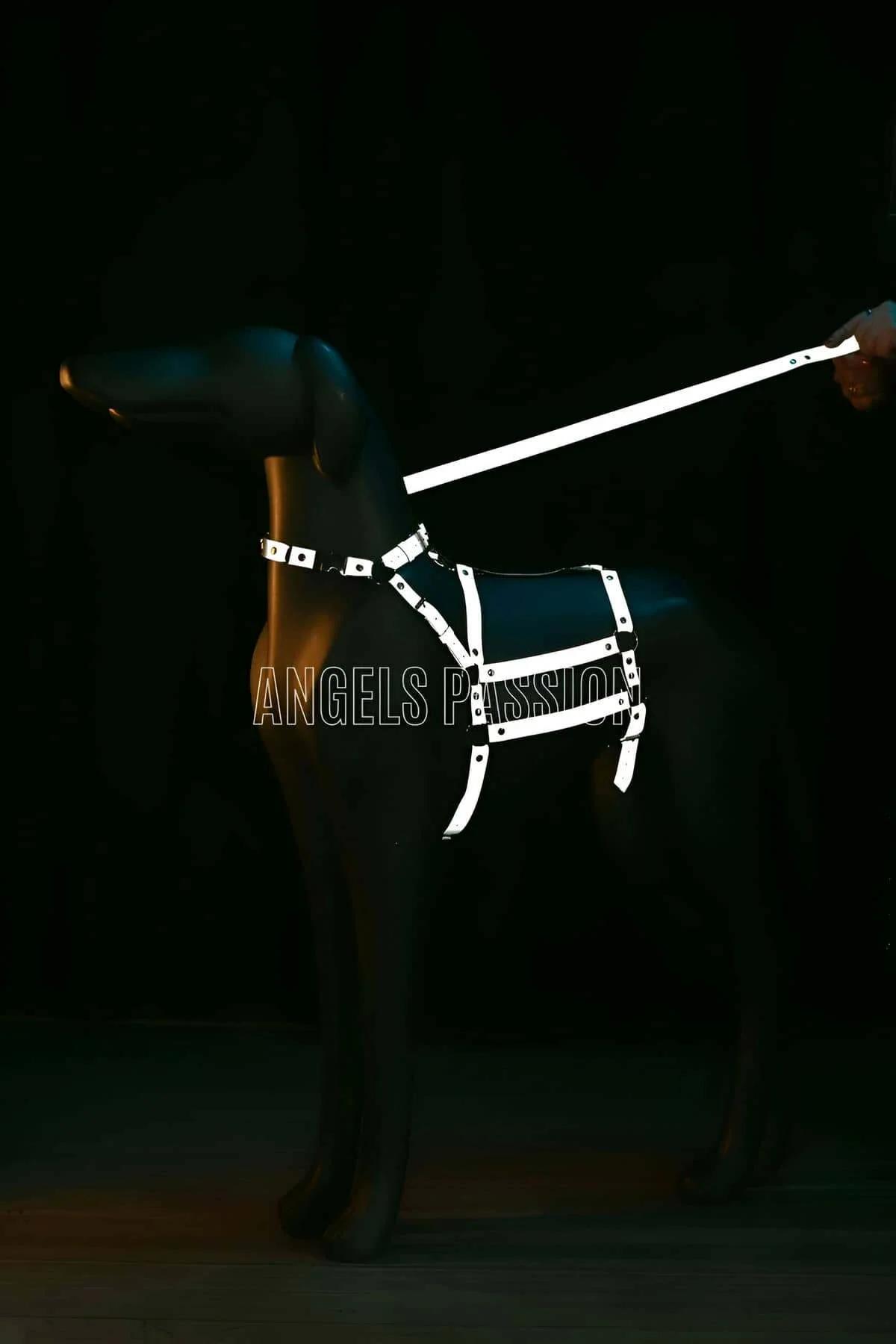 Metal kaydırıcı toka ve O-halka konnektörler detaylı ayarlanabilir reflektör vücut harness